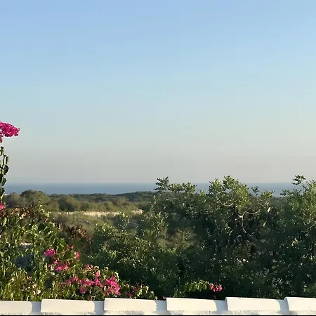 Preciosa En El Campo *